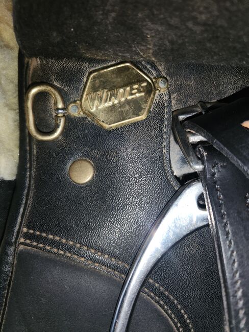 Wintec Sattel, Wintec , Lilly , All Purpose Saddle, Friedeburg , Image 7