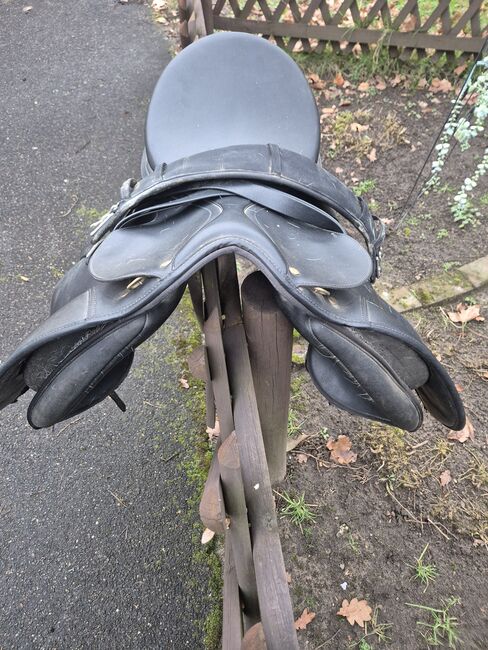 Wintec sattel, Wintec, Tanja weiler, All Purpose Saddle, Köln, Image 3