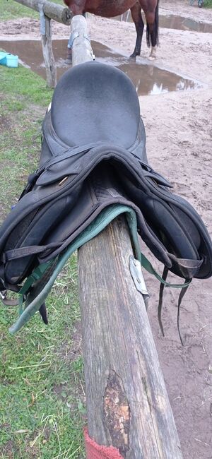 Wintec Sattel, Wintec, Melanie Sonntag, Dressage Saddle, Berlin