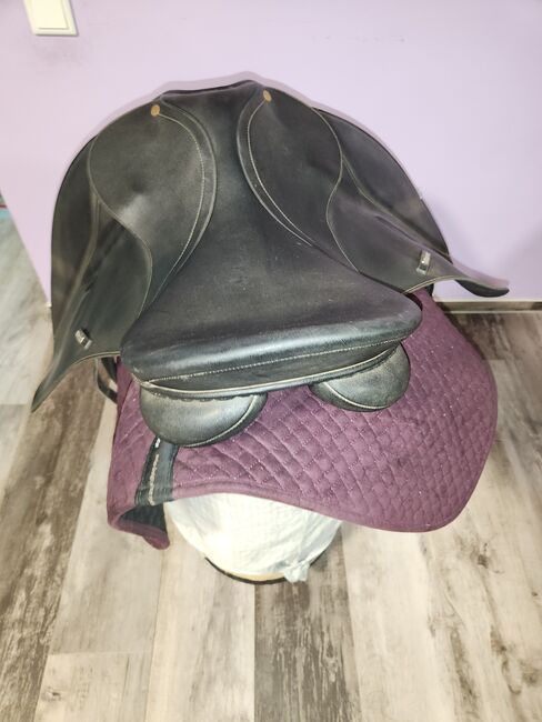 Wintec Sattel, Wintec , Lilly , All Purpose Saddle, Friedeburg , Image 2