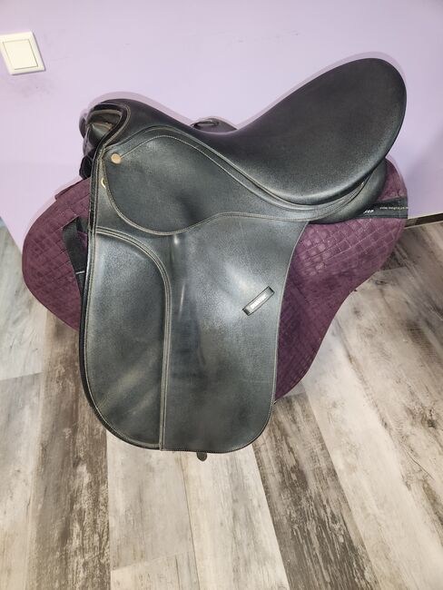 Wintec Sattel, Wintec , Lilly , All Purpose Saddle, Friedeburg , Image 7