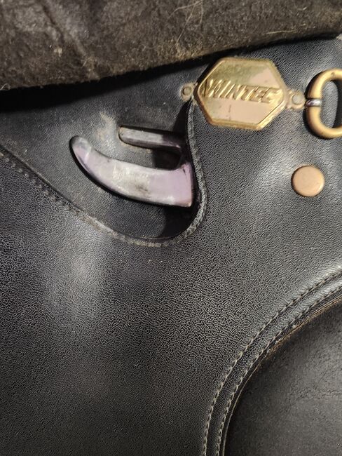 Wintec Sattel, Wintec , Maus , All Purpose Saddle, Friedeburg , Image 6