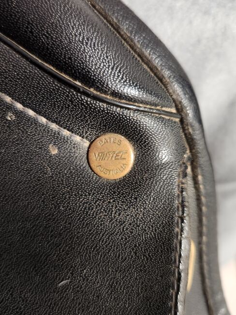 Wintec Sattel, Wintec , Maus , All Purpose Saddle, Friedeburg , Image 9