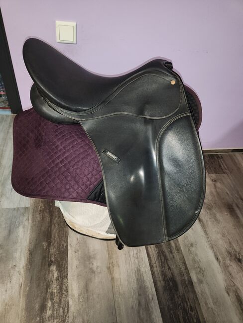 Wintec Sattel, Wintec , Lilly , Vielseitigkeitssattel (VS), Friedeburg 