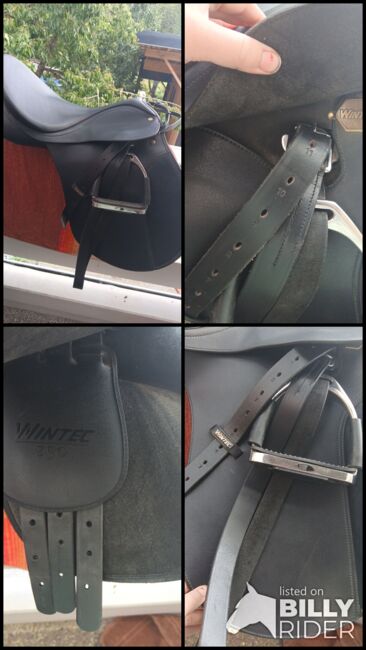 Wintec VS 250 (17,5), Wintec  250, Sarah Müller, All Purpose Saddle, Rietheim-Weilheim, Image 8