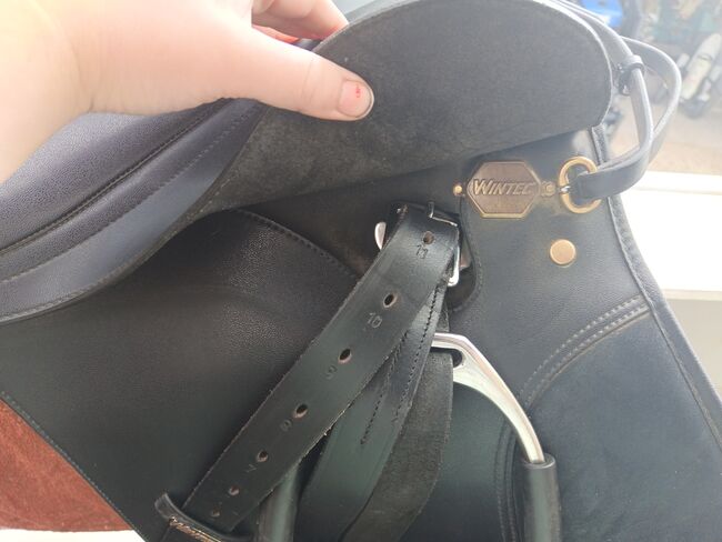Wintec VS 250 (17,5), Wintec  250, Sarah Müller, All Purpose Saddle, Rietheim-Weilheim, Image 2