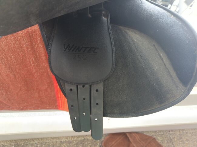 Wintec VS 250 (17,5), Wintec  250, Sarah Müller, All Purpose Saddle, Rietheim-Weilheim, Image 3