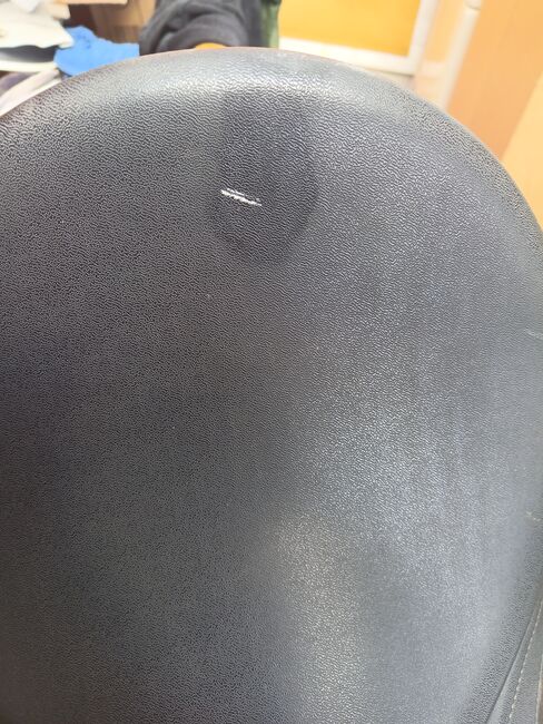 Wintec VS 250 (17,5), Wintec  250, Sarah Müller, All Purpose Saddle, Rietheim-Weilheim, Image 5