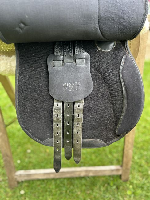 Wintec VS Sattel, Wintec, Maya , All Purpose Saddle, Wolmersdorf, Image 4