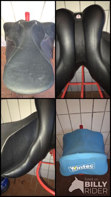 Wintec VS Sattel 2000, Wintec  VS Sattel 2000, Heike, All Purpose Saddle, Netphen , Image 10