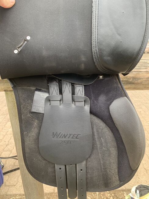 Wintec Vs Sattel, Wintec, Mörixbauer , All Purpose Saddle, Steinhart , Image 4