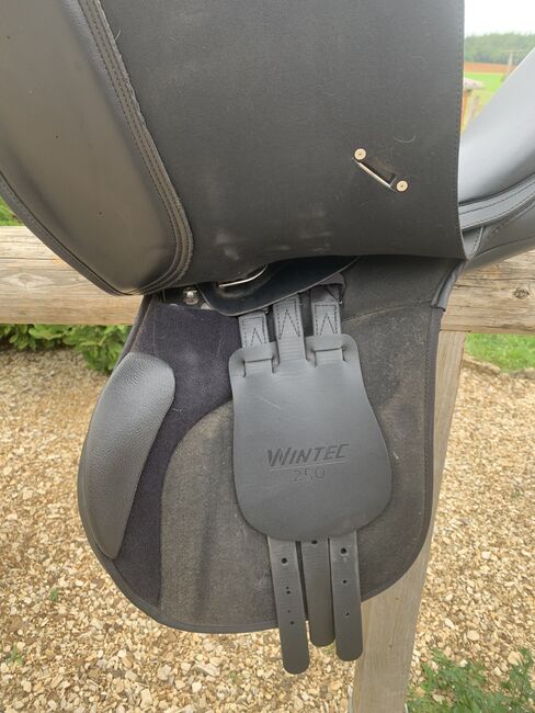 Wintec Vs Sattel, Wintec, Mörixbauer , All Purpose Saddle, Steinhart , Image 3