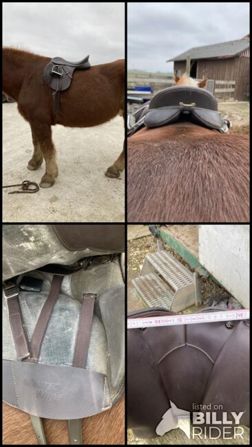 Wintec Wide braun, Wintec  Wide , Wibmer Luisa, All Purpose Saddle, Pförring , Image 10