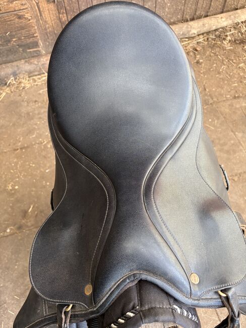 Wintec Wide Haflinger/ Kaltblut, Wintec VS, Miro, All Purpose Saddle, Cremlingen, Image 3