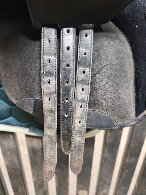 Wintecsattel 2000 zu verkaufen, Wintec 2000, Maren Grebing , All Purpose Saddle, Bad Wildungen, Image 10