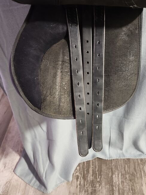 Wintec Sattel, Wintec , Maus , All Purpose Saddle, Friedeburg , Image 3