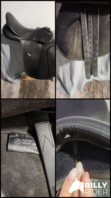 Wintec Sattel, Wintec , Maus , All Purpose Saddle, Friedeburg , Image 12