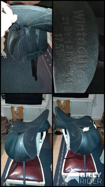 Winteclite VS 17,5", Elke, All Purpose Saddle, Ascheberg, Image 11