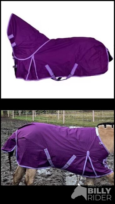 Winterdecke Full Neck 100g. Wie neu, Gr. 115cm mit Halsteil, Johanna , Horse Blankets, Sheets & Coolers, Berlin, Image 3