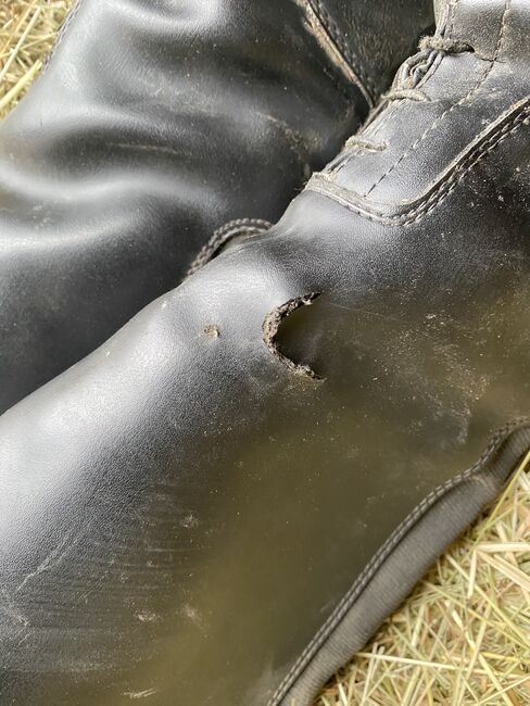 Winterreitstiefel, TT, Riding Boots, Gerabronn, Image 9