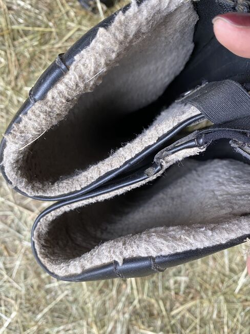 Winterreitstiefel, TT, Riding Boots, Gerabronn, Image 5