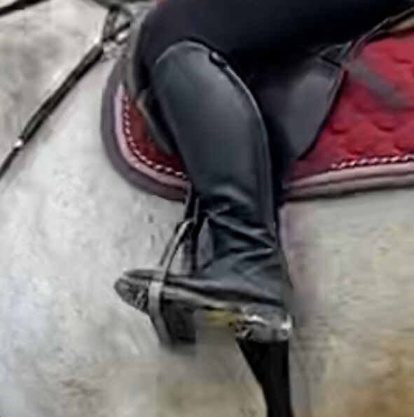 Winterreitstiefel, TT, Riding Boots, Gerabronn, Image 11