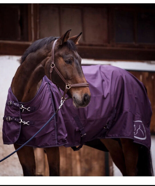 Winterdecke 200g NAGELNEU, RidersChoice Winterdecke 200g, Theresa, Horse Blankets, Sheets & Coolers, Laufenburg