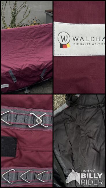 Winterdecke 200gr, Waldhausen , Martina Odrostly , Horse Blankets, Sheets & Coolers, Bottrop, Image 6