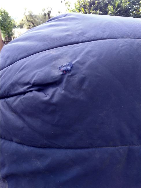 Winterdecke, 300g, 125cm, Christina Fuchs, Horse Blankets, Sheets & Coolers, Maroldsweisach, Image 2