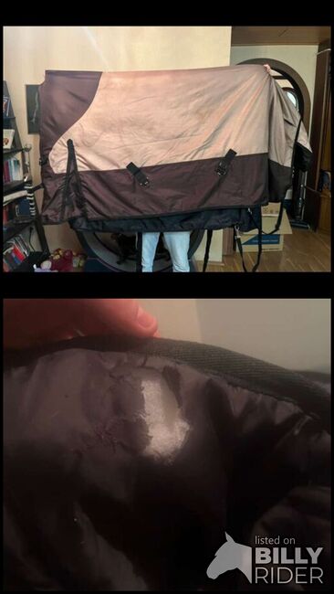 Winterdecke Highneck 500g 165cm, Krämer Thermomaster, Jasmin, Horse Blankets, Sheets & Coolers, Leonding, Image 3