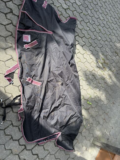 Winterdecken, Exklusiv, Lara Piroddi, Horse Blankets, Sheets & Coolers, Hiddenhausen , Image 2