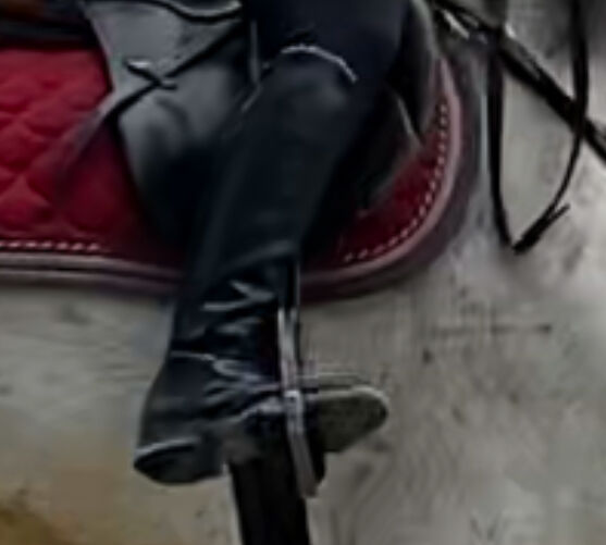 Winterreitstiefel, TT, Reitstiefel, Gerabronn, Abbildung 10