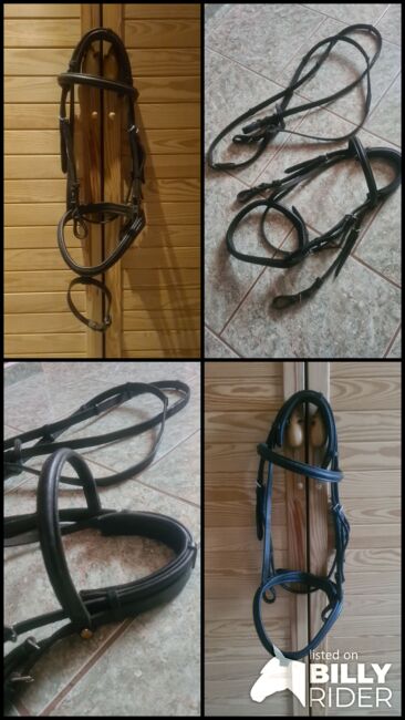 wNEU * Kavalkade Ecoline Trense mit Zügel + Sperriemen Leder Cob Vollblut, Kavalkade  Ecoline , Ina, Bridles & Headstalls, Halberstadt, Image 6