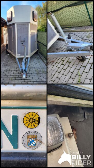 Wöhrmann Anhänger, Wöhrmann  Gismo PD, Florian Buehler, Horse Trailers, Brunnen , Image 8