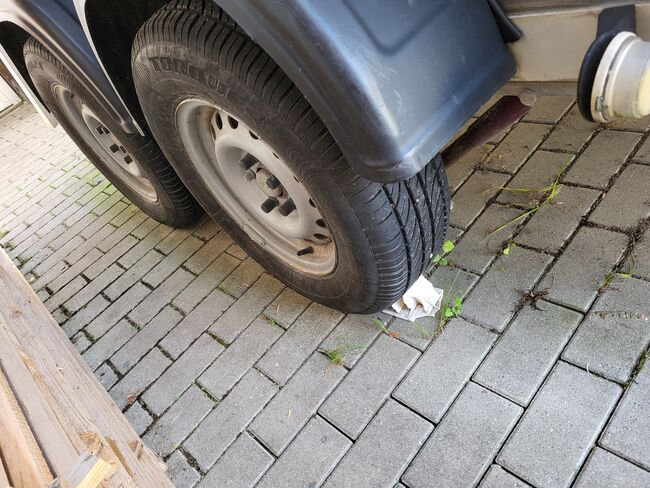 Wöhrmann Anhänger, Wöhrmann  Gismo PD, Florian Buehler, Pferdeanhänger, Brunnen , Abbildung 7