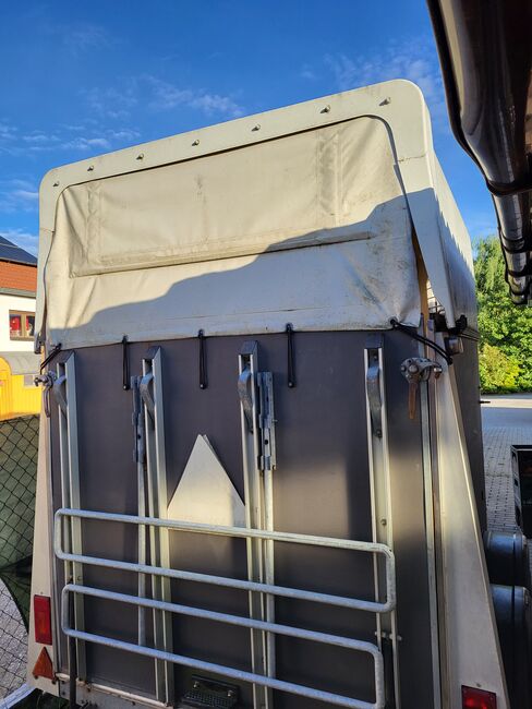 Wöhrmann Anhänger, Wöhrmann  Gismo PD, Florian Buehler, Horse Trailers, Brunnen , Image 5