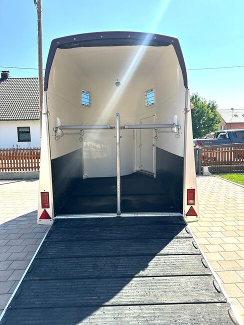 ❗️ Wörmann Varello Saka ALUBODEN Pferdeanhänger Pferdehänger, Wörmann / Blomert Varello / New Star, Fuchs Daniel, Ellgau - Pferdeanhänger seit 2016  (Nutzfahrzeughandel und Vermietung Daniel Fuchs ), Horse Trailers, Ellgau , Image 6