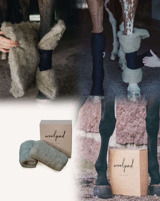 Woolpad 100% Naturprodukt!, Woolherd woolpad Woolpad, Michelle , Horse Bandages & Wraps, Sankt Augustin 