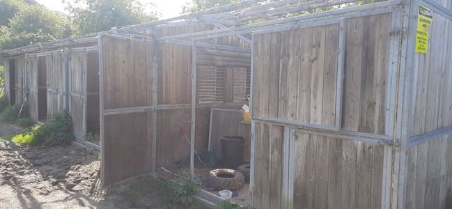 Wooden and Galvanised Stables / Field Shelters, James, Stallplätze, Wareham, Abbildung 5
