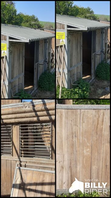 Wooden and Galvanised Stables / Field Shelters, James, Stallplätze, Wareham, Abbildung 7