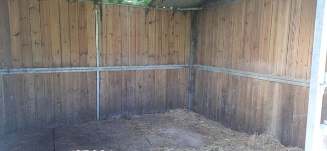 Wooden and Galvanised Stables / Field Shelters, James, Stallplätze, Wareham, Abbildung 6