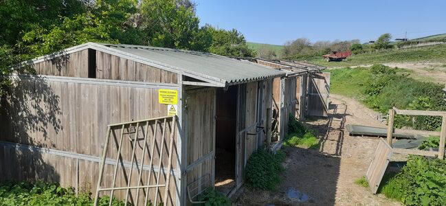 Wooden and Galvanised Stables / Field Shelters, James, Stallplätze, Wareham