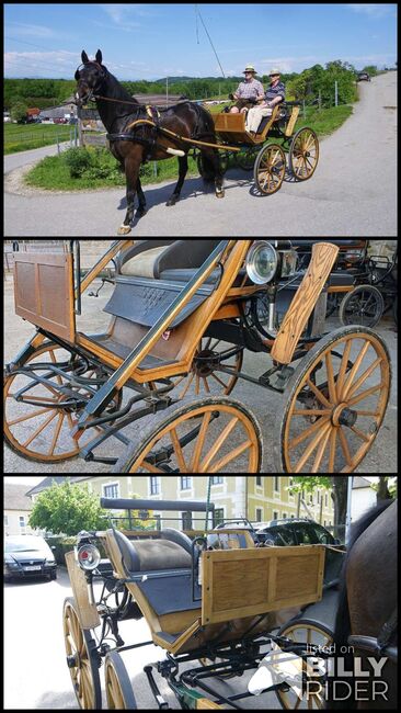Einspänner Kutsche Holz Spider, Alois Pöchhacker, Carriages, Waidhofen/Ybbs, Image 4