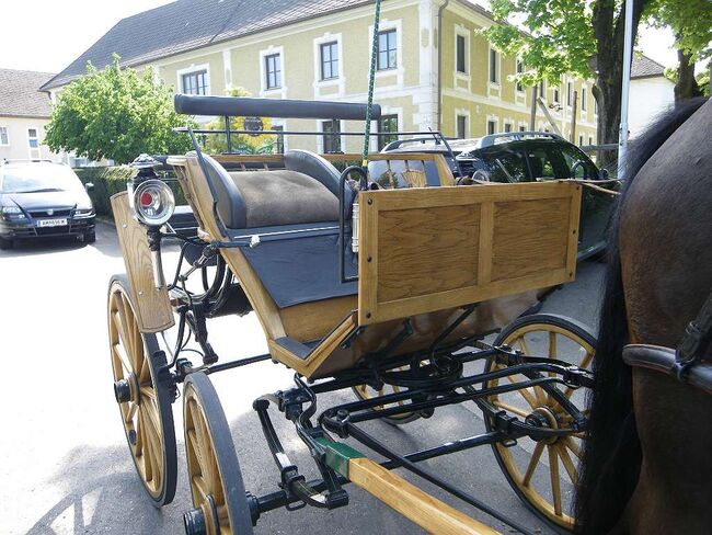 Einspänner Kutsche Holz Spider, Alois Pöchhacker, Carriages, Waidhofen/Ybbs, Image 3