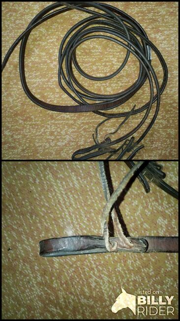 Arbeitszügel, Christina Eggert, Bridles & Headstalls, Varel, Image 3