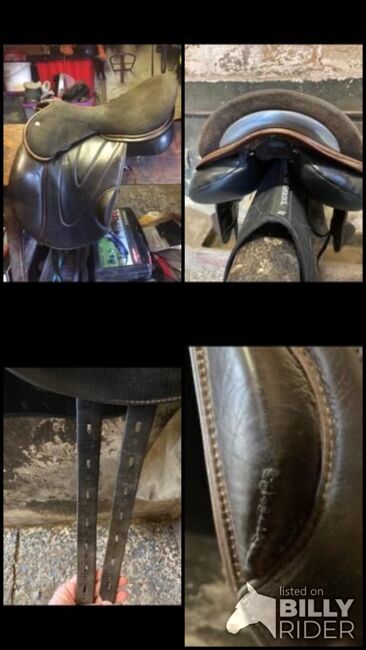 WoW Saddle, Wow, Pamela Armstrong Collins-Crewe, Springsattel, St Andrews, Abbildung 8