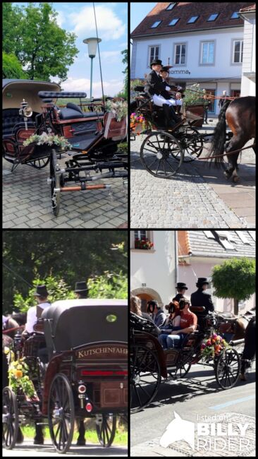Kutsche für Großpferde, Kibele  Vis-a-Vis, Maximilian  Scheiber, Powozy konne, Schreibersdorf , Image 5