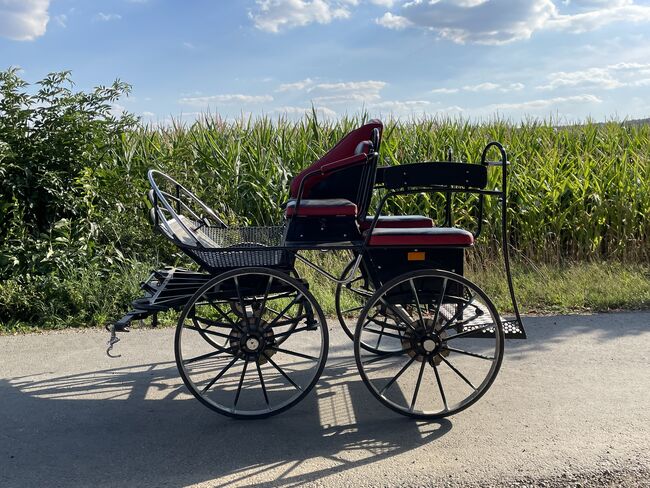 Marathonwagen für Ein- und Zweispänner, Jette, Powozy konne, Osterode Am Harz, Image 4