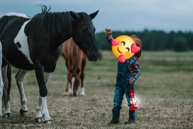 Tolle Paint Horse Stute mit super Charakter, Kerstin Rehbehn (Pferdemarketing Ost), Konie na sprzedaż, Nienburg, Image 6