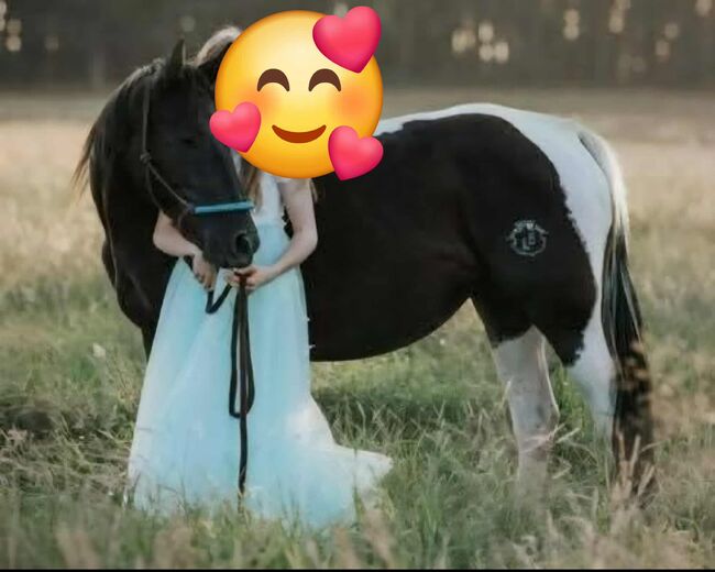 Tolle Paint Horse Stute mit super Charakter, Kerstin Rehbehn (Pferdemarketing Ost), Konie na sprzedaż, Nienburg, Image 4